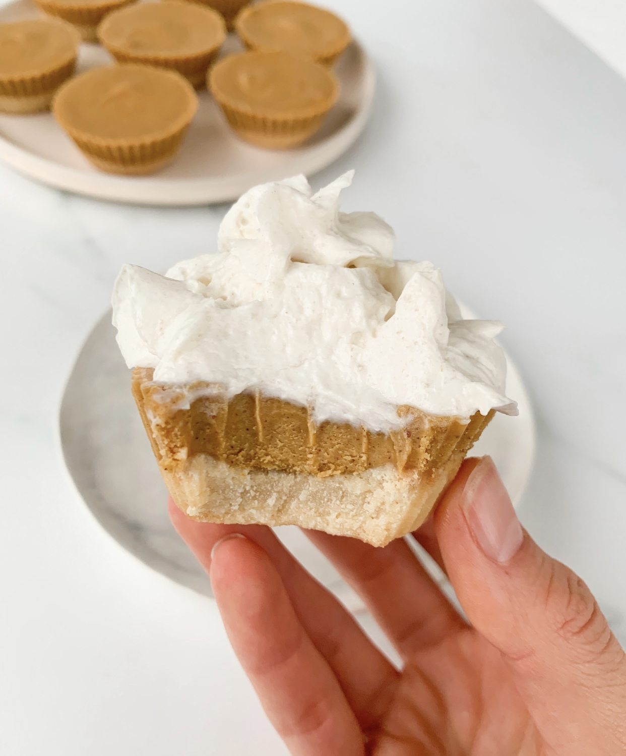 Easy Pumpkin Mousse (Keto, Dairy-Free, Paleo, Vegan) – Pretty Pies